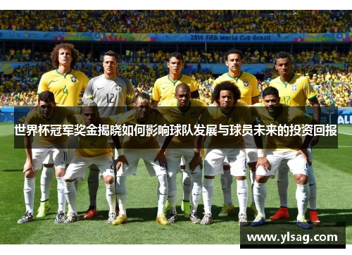 世界杯冠军奖金揭晓如何影响球队发展与球员未来的投资回报